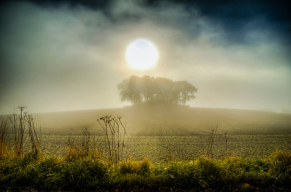 Sunrise through the Mist, near Blairgowrie, Perthshire, Scotland