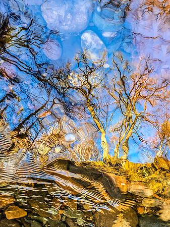Finnich Glen Reflections, Scotland.